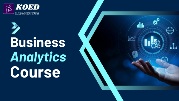 Business Analytics With Python Course